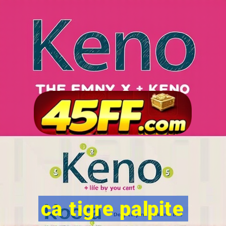 ca tigre palpite